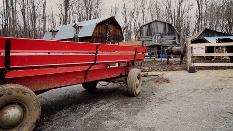 Cloudy autumn scenery, rustic sugar shack, woods, horses, traveling right Stock Footage 87346491