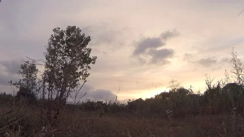 Cloudy autumn sunset Video stock 118312461