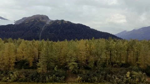 Cloudy autumn view of forest and mountains in Chugach State Park, Alaska Stock Footage 219630650
