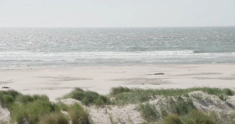 Cloudy beach with green grass dunes in slowmotion Video stock 232309279