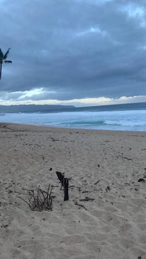 Cloudy Beach HD Stock Footage 175835663