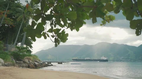Cloudy beach at noon Stock Footage 149507462