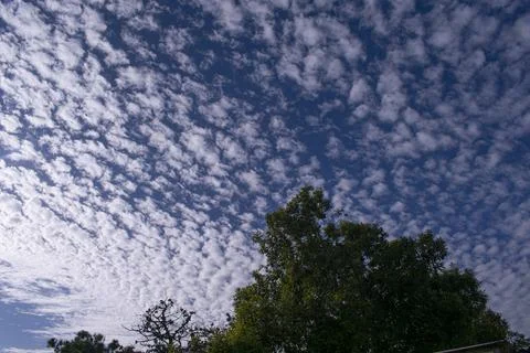 Cloudy blue sky and trees Photos