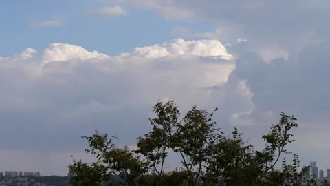 Cloudy blue sky and trees.4k video footage Stock Footage 278750756