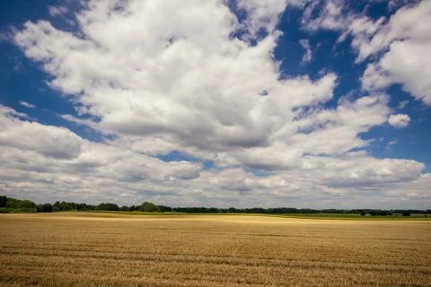 Cloudy blue sky over the field with harvested grain Stock Photos