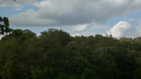 Cloudy blue sky over forest with branches on the side Stock Footage 109478559