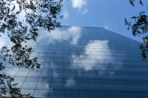 Cloudy blue sky reflection skyscraper glass exterior trees framing Stock Photos