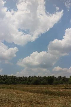 Cloudy blue sky with trees Stock Photos