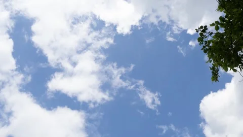 Cloudy blue sky turns darker with a tree in frame Video stock 281474574