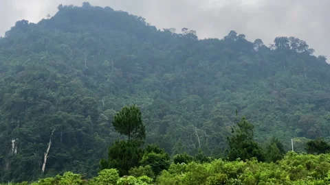 Cloudy bogor mountain aerial view, pan camera movement Video stock 259187050