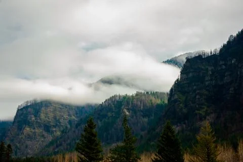Cloudy Cliffs With Waterfalls and Pines Foto stock