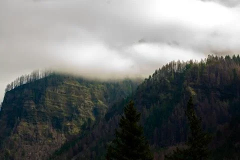 Cloudy Cliffs With Waterfalls and Pines Foto stock