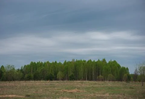 Cloudy clouds over the forest Stock Photos