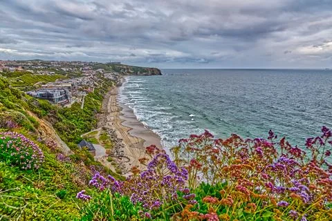 Cloudy Coastal Scene 库存照片