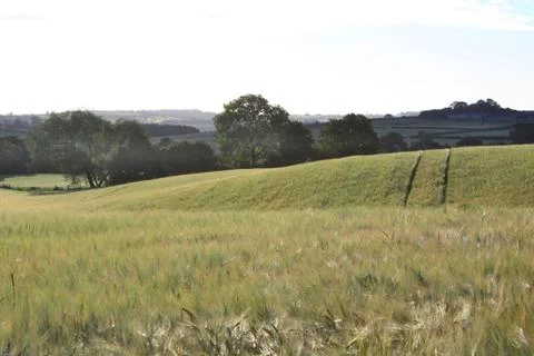 Cloudy Country Landscape Stock Photos