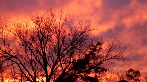 Cloudy-Dawn-Sunset Stock Footage 131581381