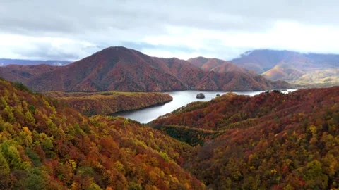 Cloudy Day Autumn Lake Landscape Aerial 4K Stock Footage 329054232