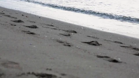 Cloudy day beach footprints Stock Footage 70883299