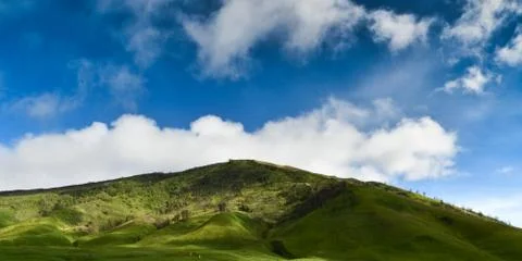 Cloudy Day in Bromo Forest Make Brighter My Day Stock Photos