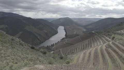Cloudy day in the Douro valley Stock Footage 237338332