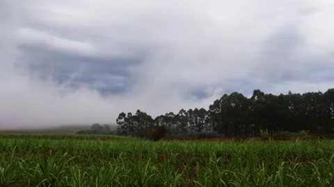 Cloudy day in the field.  Vídeos de archivo 155340392