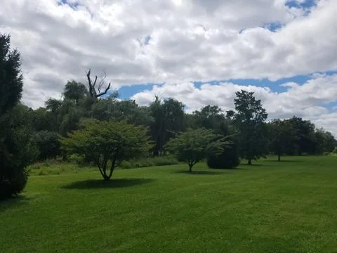 Cloudy day in the field Foto stock