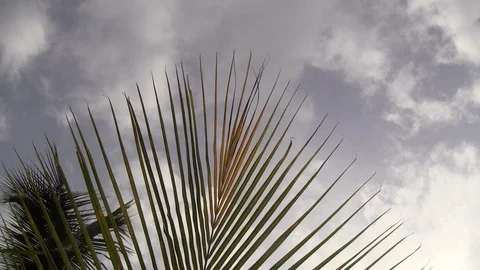 Cloudy day 動画素材 100033366