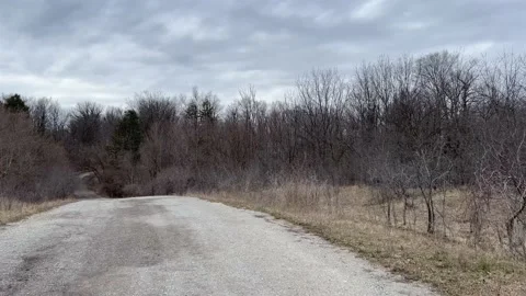 A cloudy day in the forest. Stock Footage 238718625