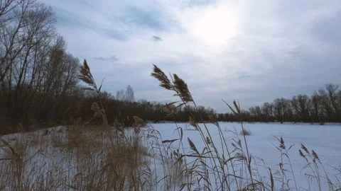 Cloudy day by the frozen river Stock Footage 149955144