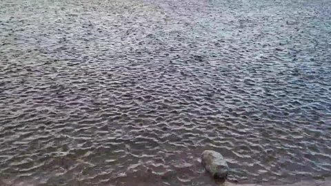 On a cloudy day, it starts to rain, and large drops fall onto the surface of the Stock Footage 341043399