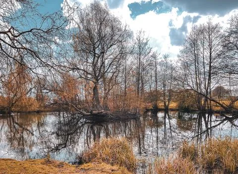 A cloudy day at the lake, surrounded by trees and a natural landscape Foto stock