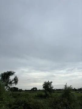 Cloudy Day Landscape with Trees in Foreground Stock Photos
