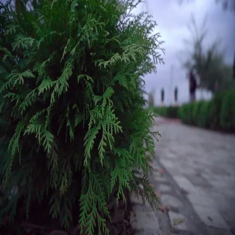 On a cloudy day man jogging. Stock Footage 69322735