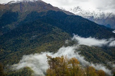 A cloudy day in the mountains with trees, clouds, and a misty sky Stock Photos