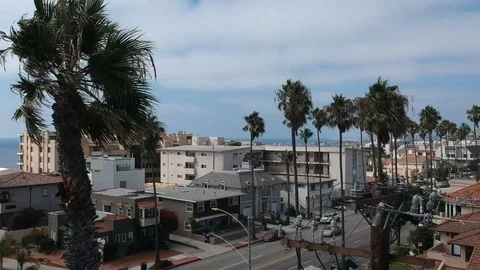 Cloudy day palm tree aerial 스톡 동영상 103104161