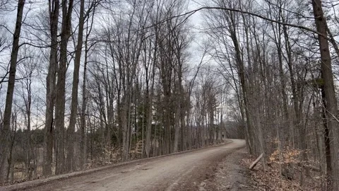 A cloudy day in the park. Stock Footage 238718629
