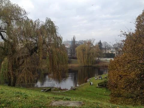 Cloudy day in the park Stock Photos