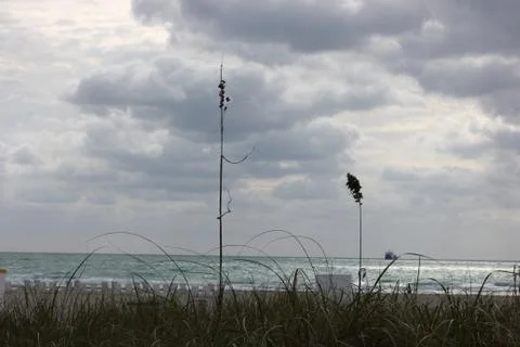 Cloudy Day 库存照片