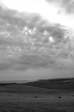 Cloudy day Stock Photos