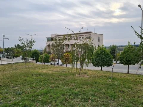 Cloudy day Stock Photos