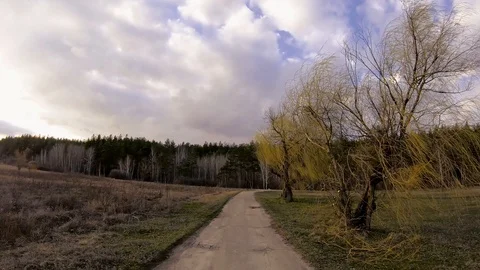 Cloudy day. Road. Trees sway in the wind. Video stock 126791944