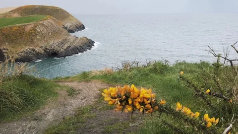 Cloudy day in Robert's Cove, County Cork, Ireland. Stock Footage 112762894