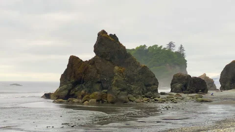Cloudy day at Ruby Beach at Washington Olympic Peninsula during the low tide Stock Footage 138059923