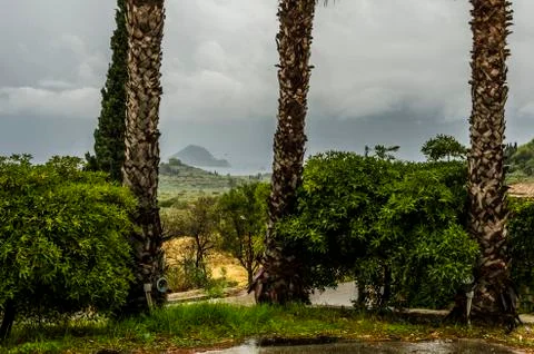 Cloudy day under palm trees in zakynthos Stock Photos