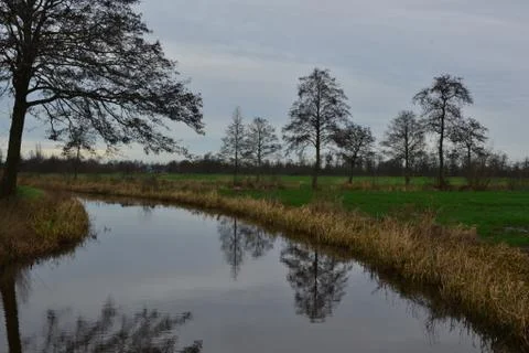 Cloudy day, view over aquatic farmland in Doezum, named doezumertocht near Foto stock