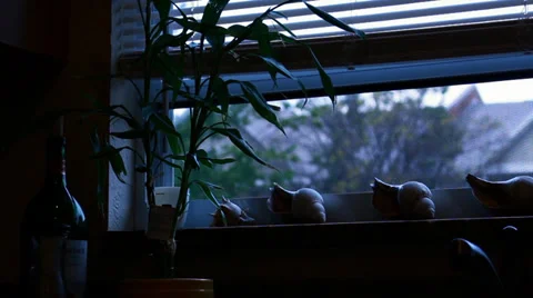 Cloudy day, view of raindrops from a windowsill 스톡 동영상 34085181