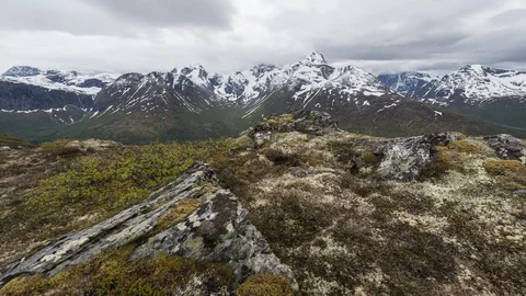 Cloudy day in the wild Stock Footage 122972679
