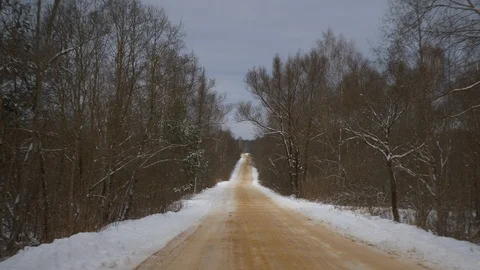 Cloudy day winter time forest road trip backside view panorama 4k russia Stock Footage 98722602