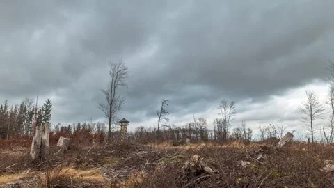 Cloudy Dezember (5) Stock Footage 260565914