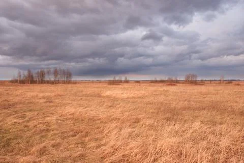 Cloudy dramatic sky over the autumn steppe. Bright dry field herbs. Stock Photos